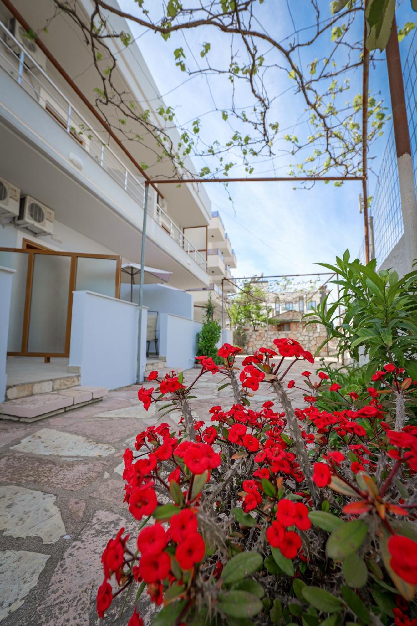 Guest House Moonlight Ksamil Exterior photo