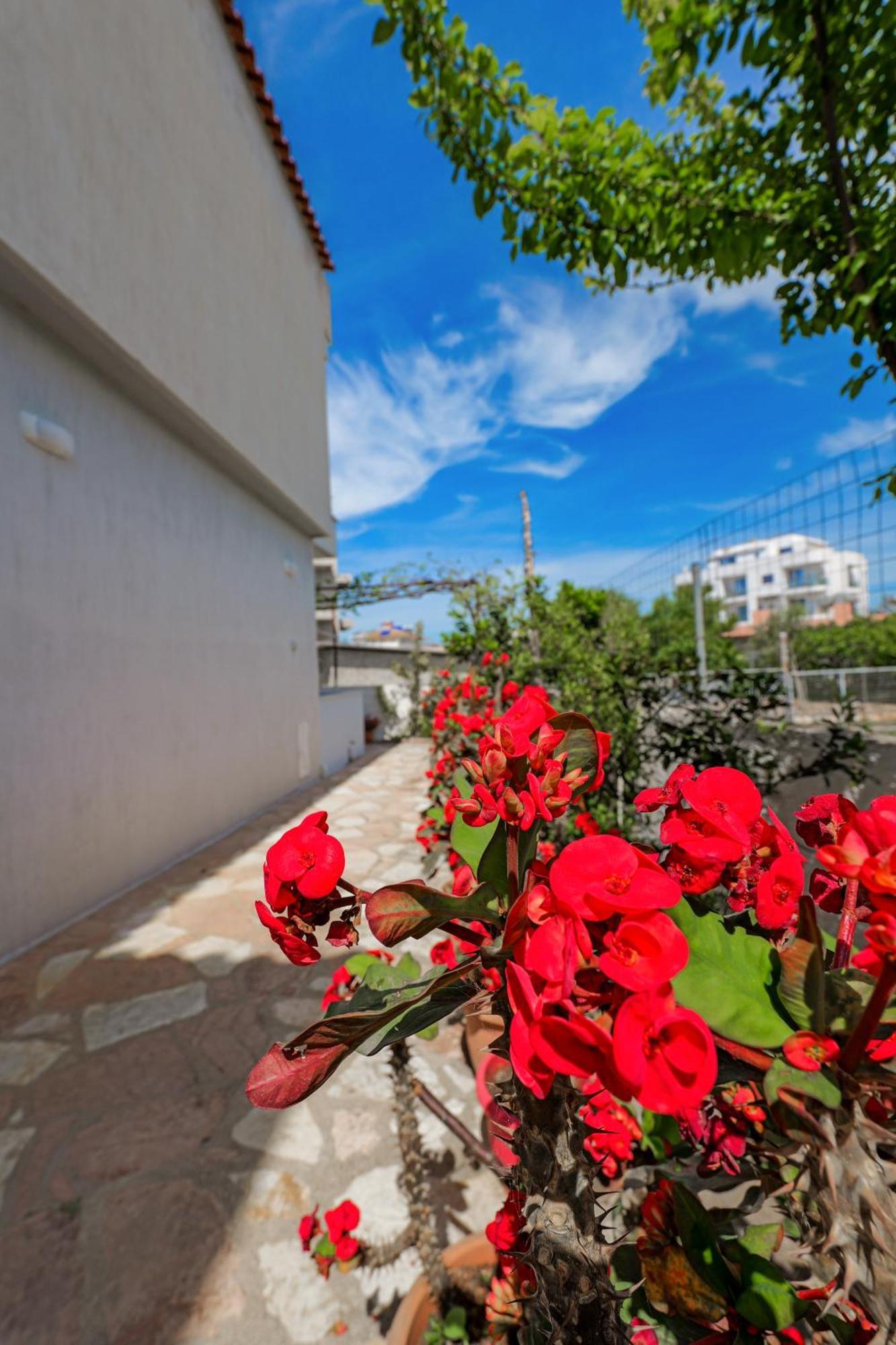 Guest House Moonlight Ksamil Exterior photo